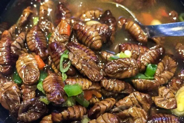 Exotic Meat India