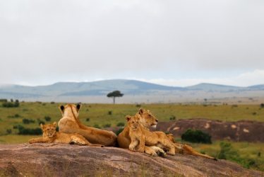 wildlife destinations
