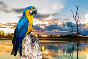 wildlife destinations