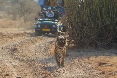 wildlife destinations