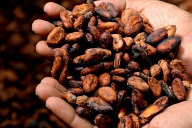 world chocolate day