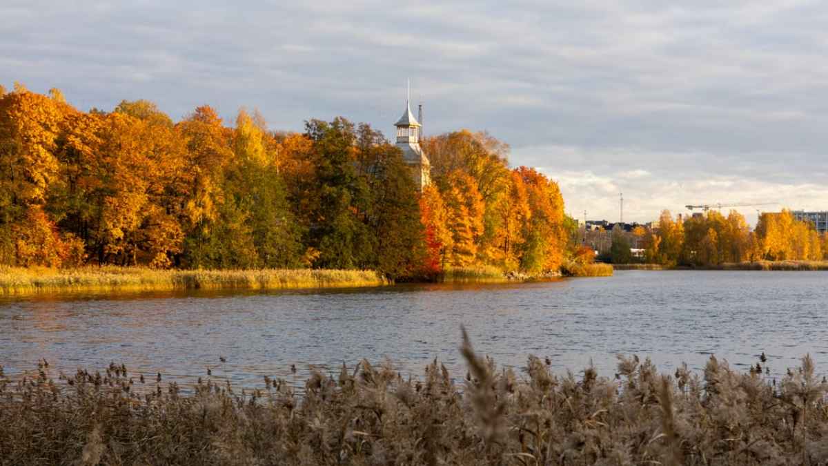 Delhi Now Has Direct Flights To Helsinki For An Autumn Escape Featuring Wildlife Safaris & Mountain Biking