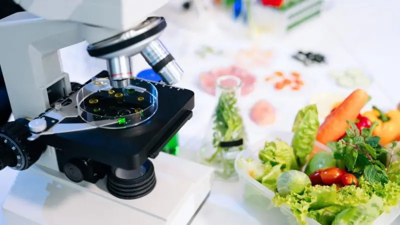 Dubai Speeds Up Food Safety Checks, Cuts Testing Time From 2 Hrs To 2 Minutes
