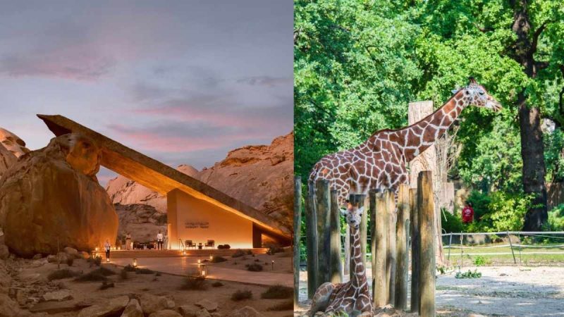 From World’s First DarkSky Approved Resorts In Saudi To Giza Zoo Reopening, 5 Middle East Updates
