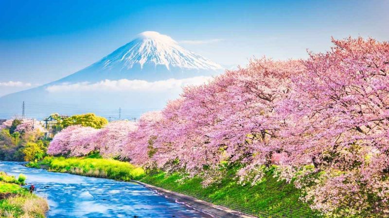 IRCTC Has A 10-Day Japan Tour For ₹3.45 Lakh Including Flights, Hotels & More