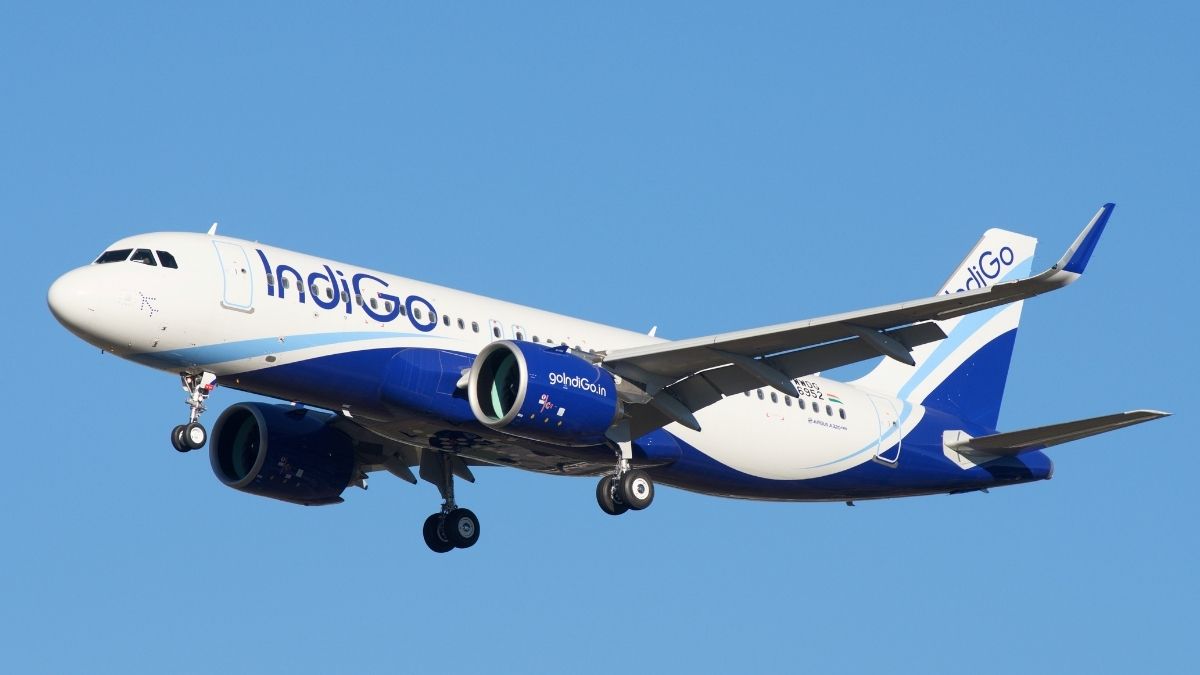 FREE Ticket Alert! IndiGo Announces 20,000 Free Domestic Flight Tickets To Celebrate 20 Years