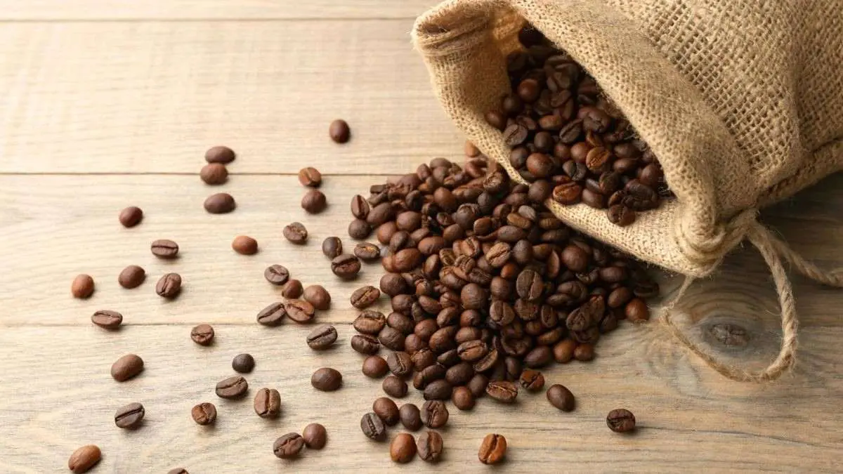 India Gets Its Own Coffee Logo “IndiCof”; What Coffee Lovers Need To Know