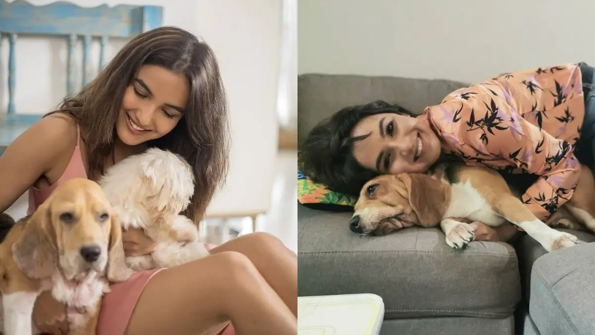 Exclusive: Jasmin Bhasin Once Spent All Her Money On A Dog Who Completely Changed Her Life