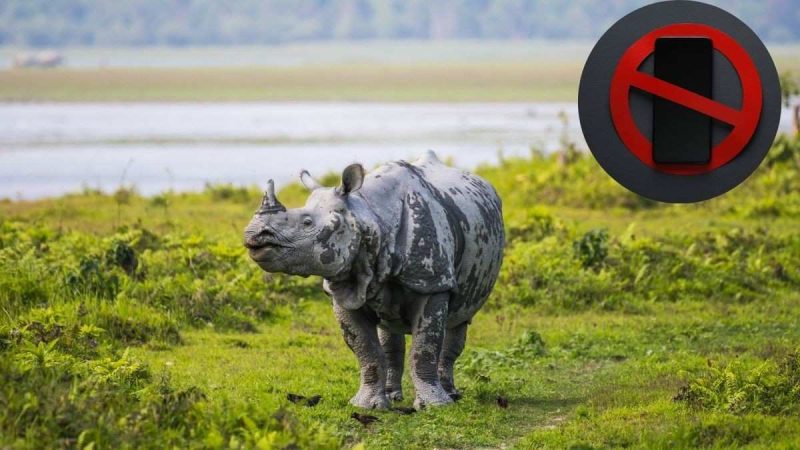 Mobile Ban To Online Booking: What Are The New Rules At Kaziranga National Park In Assam?