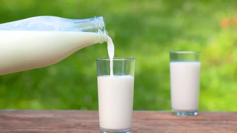 You May Have To Pay More For Milk In Maharashtra; Price To Rise By ₹2 Per Litre From Aug 11