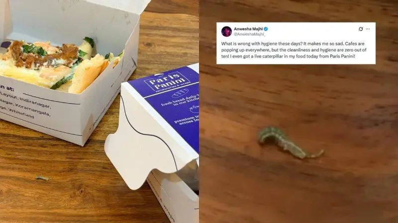 Shocking! Bengaluru Woman Finds Live Caterpillar In Paris Panini Food; Founder Responds