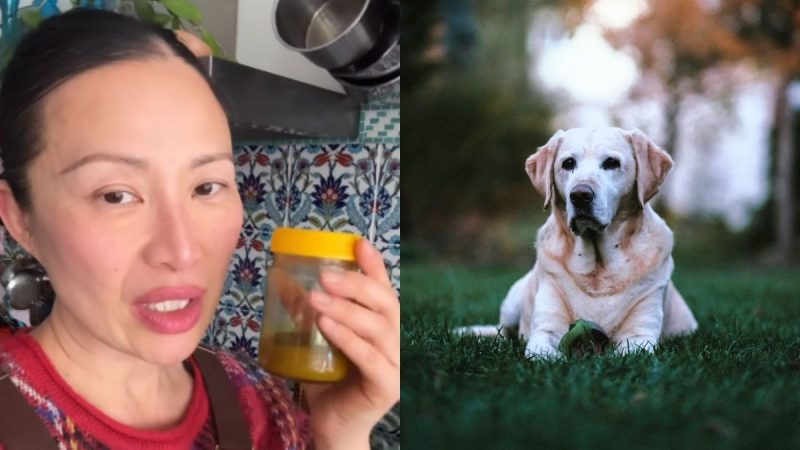 MasterChef Australia’s Poh Ling Yeow Shares 3-Ingredient Recipe For Senior Pets; It’s Pawesome!