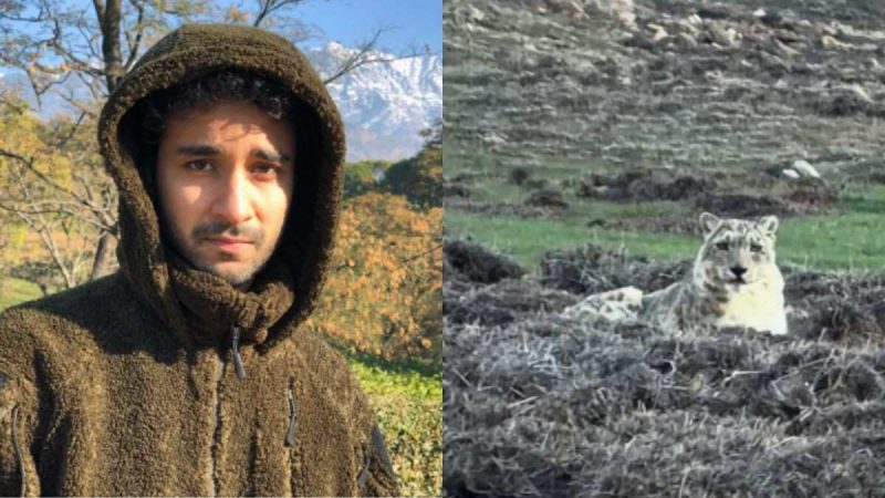 Not Ladakh, Raghav Juyal Spots Rare Snow Leopard At THIS Place In Uttarakhand