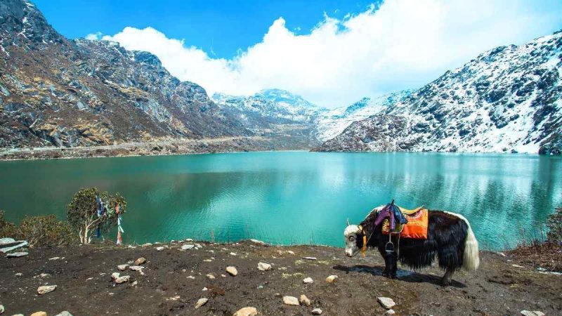 Sikkim To Replace Paperwork With New Online Tourist Permits: What Travellers Must Know
