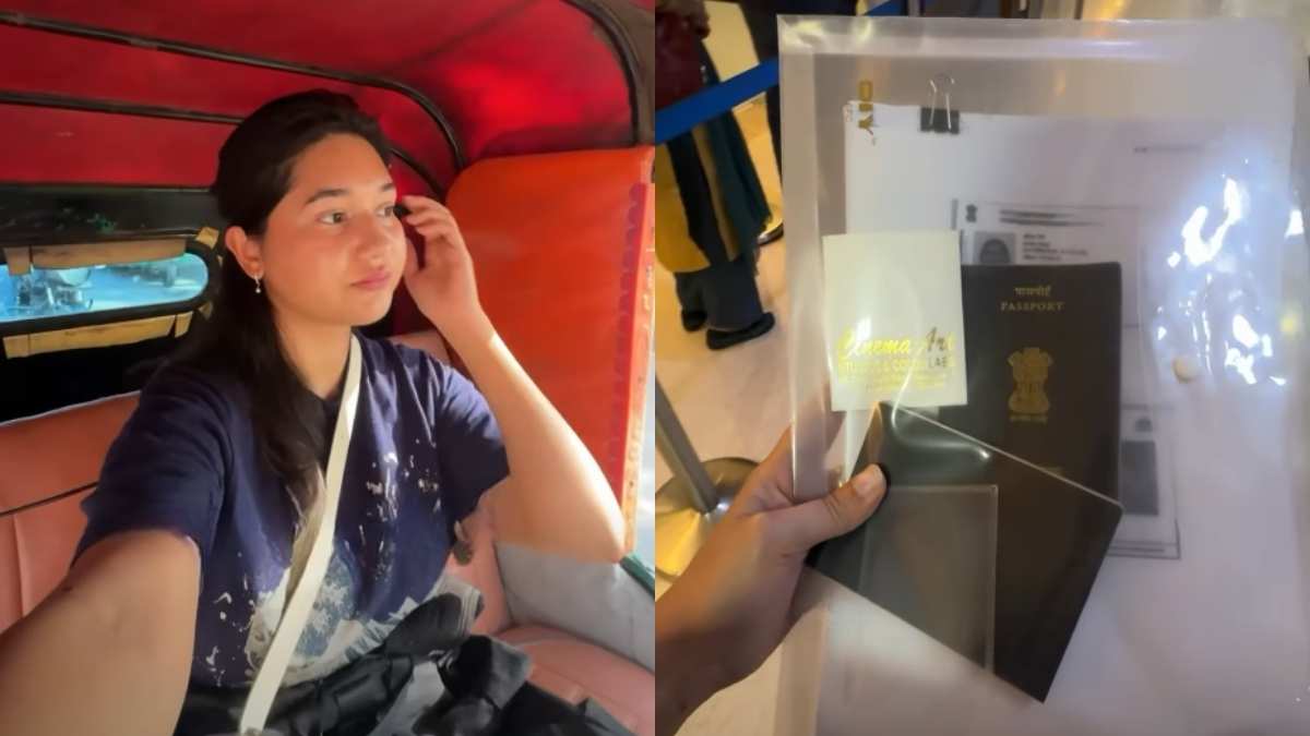 South Korea Visa: Indian Travel Vlogger Explains Visa Process For Indian Tourists