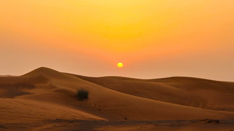 UAE Temperature Hits 50.1°C As Extreme Heat Sweeps The Country