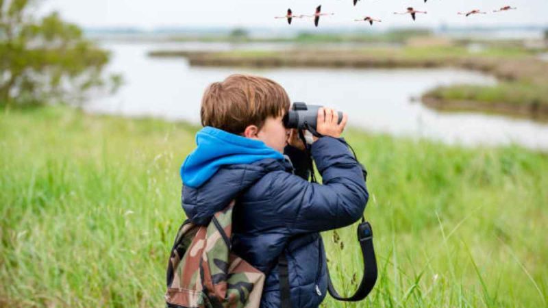 Learn Birding In Kanha For ₹47,500 With 5-Day Beginner Course Taught By Veteran Ornithologist