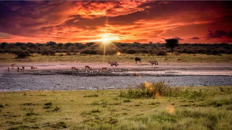 Oman Nationals Can Now Visit Botswana Visa-Free For Up To 90 Days