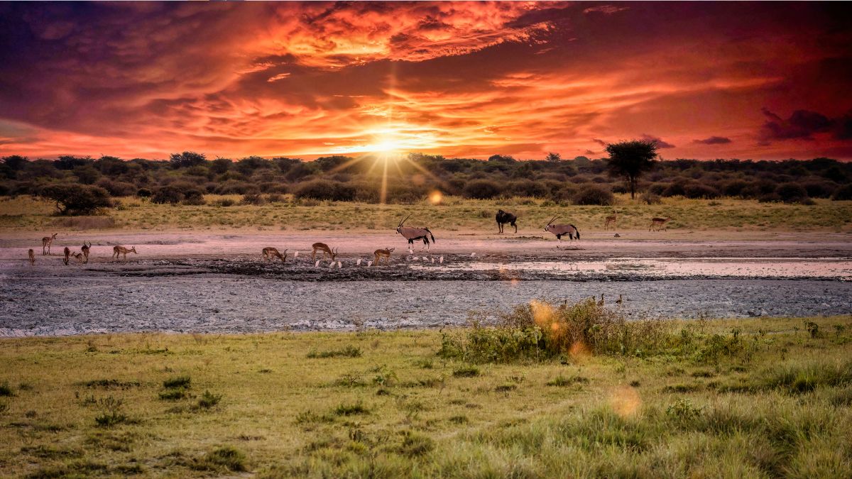 Oman Nationals Can Now Visit Botswana Visa-Free For Up To 90 Days