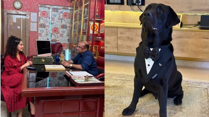 Exclusive: “Pets Need Numerology As They Absorb Energy,” Says Numerologist Dr. Sachinn S Sharma 