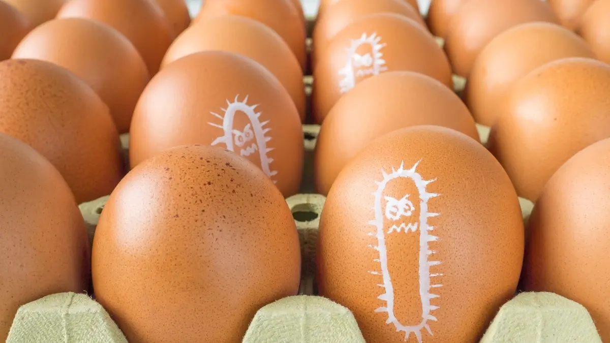 Rare Quranic Manuscript Displayed In Makkah To Recalled Eggs In USA Not Sold In UAE; 5 GCC Updates