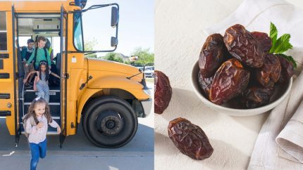Sharjah’s Back-To-School Safety Plan To Buraidah International Dates Carnival’s Tourist Bus Tour; 5 GCC Updates