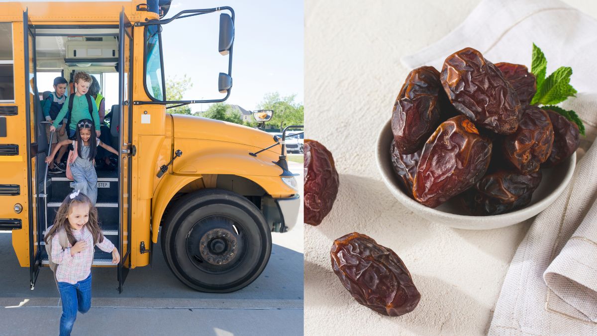 Sharjah’s Back-To-School Safety Plan To Buraidah International Dates Carnival’s Tourist Bus Tour; 5 GCC Updates