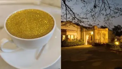 Bengaluru’s Water Monkey Cafe Is Serving Glitter Coffee, Pink Lattes And Even 24-Karat Gold Cappuccinos