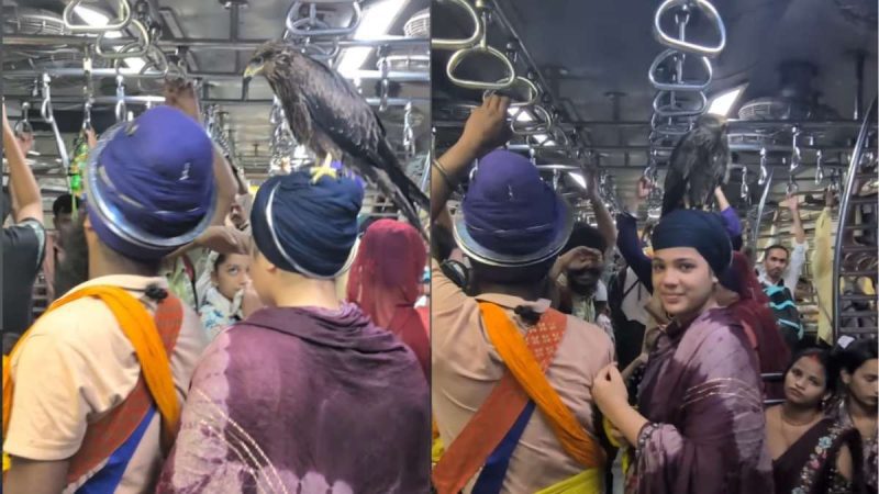 Viral Video: Hawk Calmly Sits On Woman’s Head On CSMT-Kalyan Mumbai Local