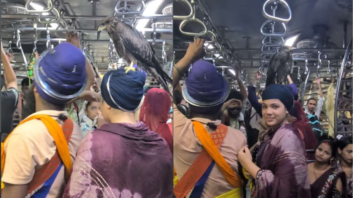 Viral Video: Hawk Calmly Sits On Woman’s Head On CSMT-Kalyan Mumbai Local