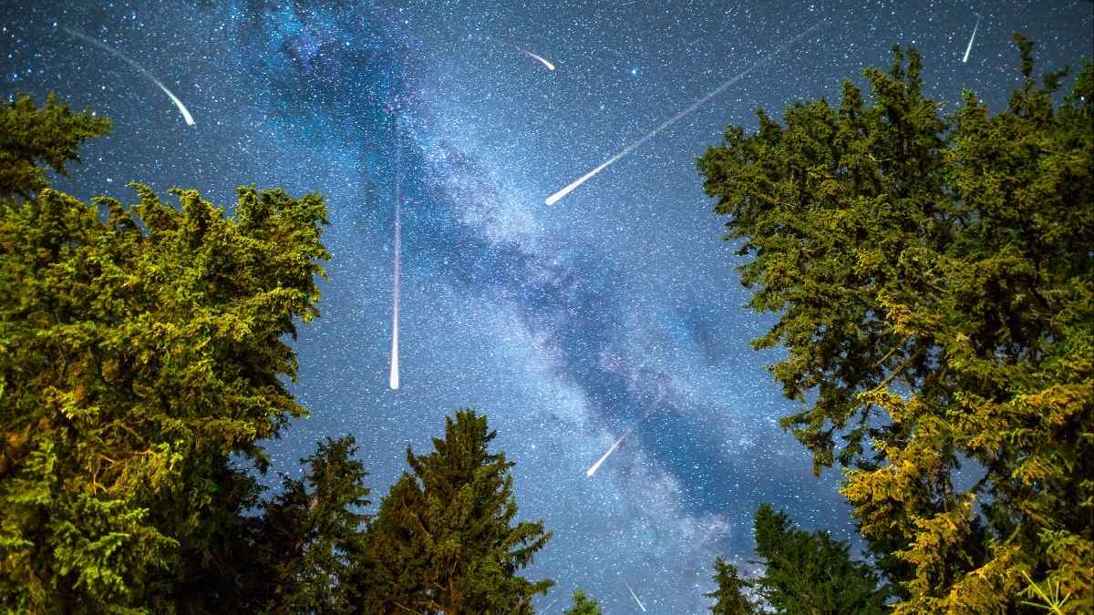 UAE: Perseids Meteor Shower To Take Over Dubai Skies This Month; Here’s Where To Watch, Dates & More