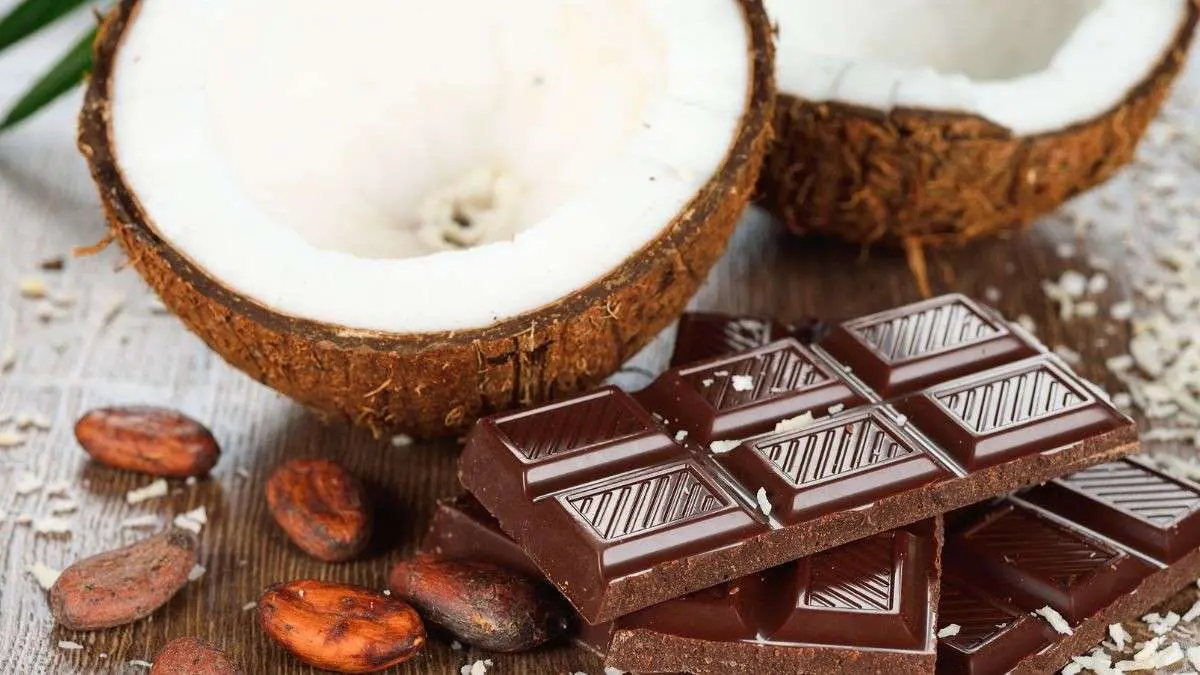 Indian Chocolate Brand Makes It To TasteAtlas’ 10 Best Coconut Chocolates List; Check Ranking