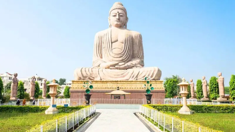 Nature Walks To Bird Watching, What Will Come Up In Bodh Gaya In Bihar