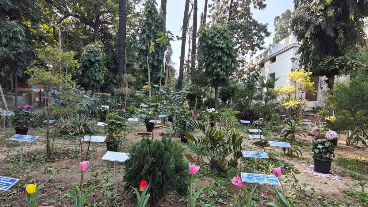 Delhi Has India’s First Carbon Garden Housing 45 Plant Species To Help Fight Pollution