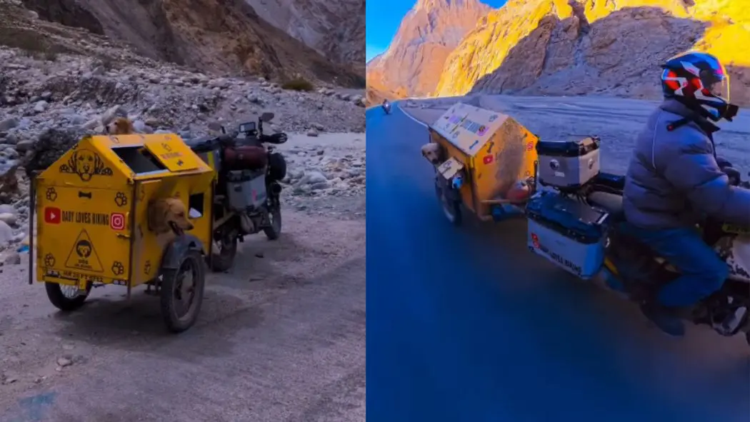 Could You Take Your Dogs To Ladakh? This Couple Did It With A Custom Bike Trolley