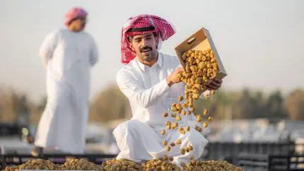 8 Events Happening In Saudi Arabia This October For Falconry, MMA Fights & More