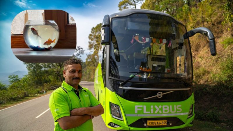 What Do Indians Forget On Buses? From Watemelon To Fish Tank, FlixBus Reveals Weird Misplaced Things