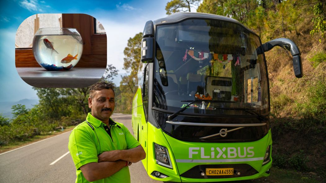What Do Indians Forget On Buses? From Watemelon To Fish Tank, FlixBus Reveals Weird Misplaced Things