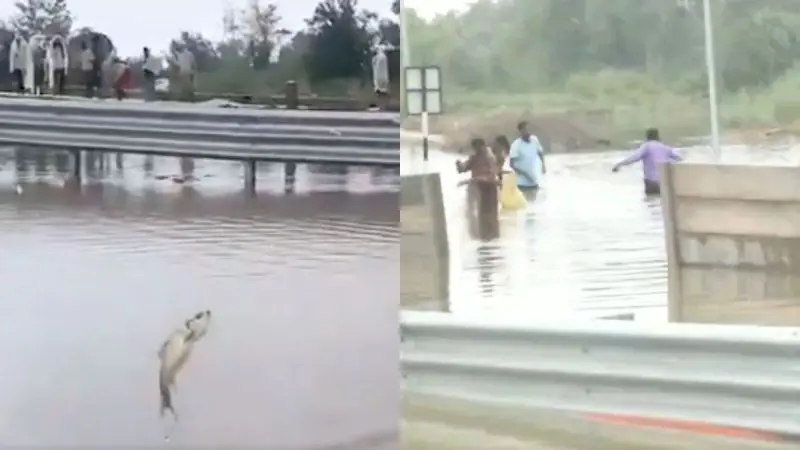 Expressway Or Fishing Spot? Locals Catch Fish At Ganga Expressway After Rain Causes Waterlogging