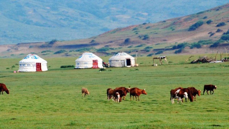 India To Mongolia Direct Flights Begin From Delhi, Cutting Travel Time From 18 To 5 Hours