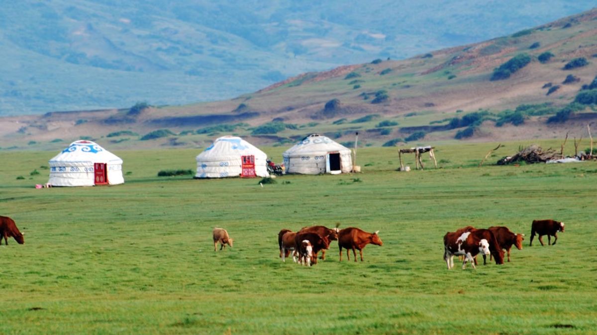 India To Mongolia Direct Flights Begin From Delhi, Cutting Travel Time From 18 To 5 Hours