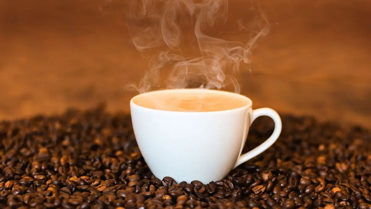 Does Heat Destroy Protein Powder? Here’s What Happens When You Add It To Hot Coffee