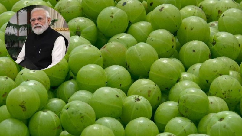 PM Modi Talks About Amla In Mann Ki Baat; 5 Simple Ways To Use Amla At Home