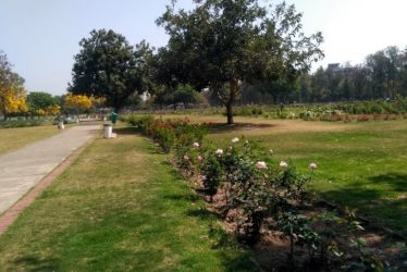 chandigarh itinerary