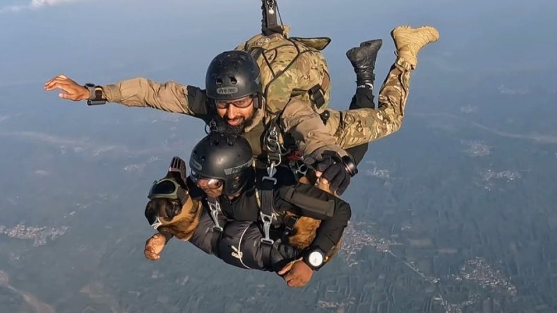 Paws In The Sky: Indian Army Dog Surya Makes Tandem Parachute Jump