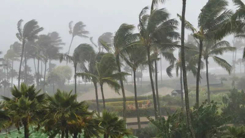 Cyclone Arnab Update: Heavy Rain Lashes Odisha & Andhra Pradesh As Red Alert Remains In Place