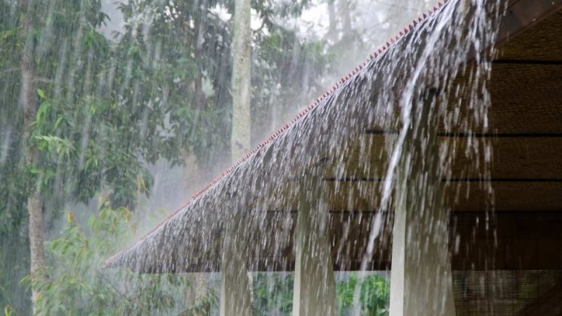 India Rain Alert: Delhi May See Light Rain, UP Gets Yellow & Orange Alerts; Check Forecast