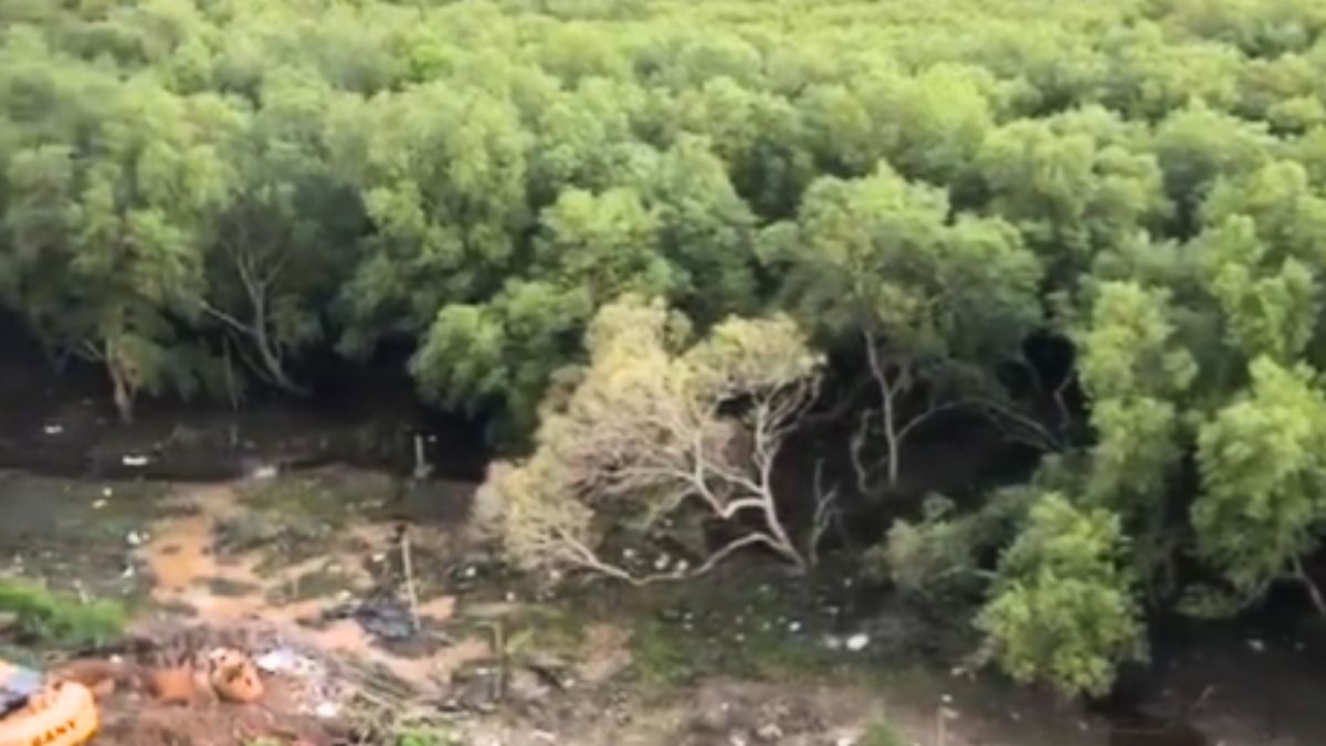 Bhandup May Lose 8.2 Acres Of Mangroves For Mumbai’s GMLR Cloverleaf Junction
