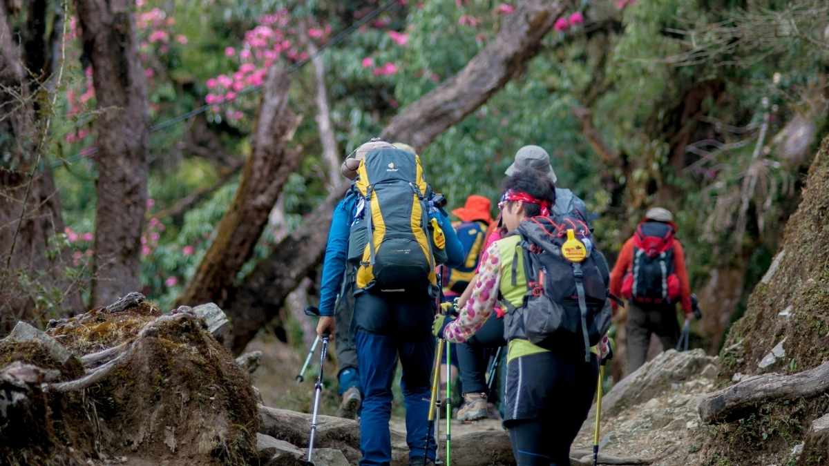 Nepal’s New Laligurans Trail Takes You Through Rhododendron Forests, Lakes And Mountains