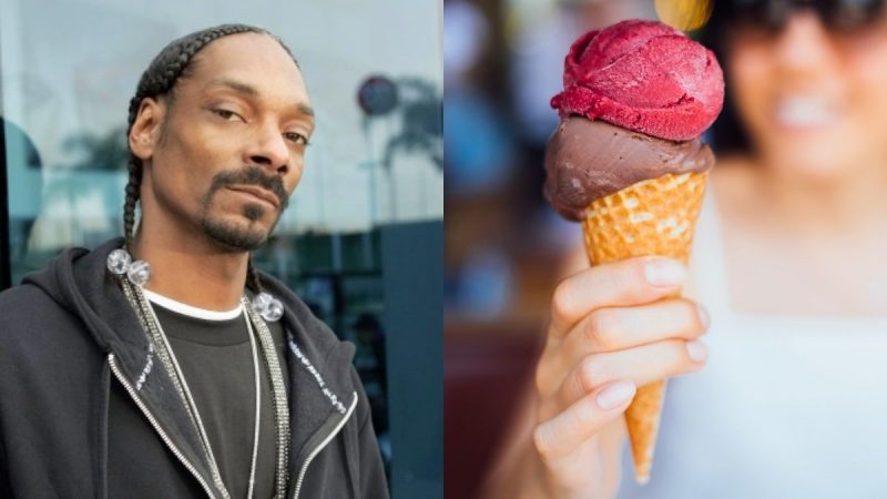 Love Ice Cream? Snoop Dogg Has A $10,000-A-Month Job For You